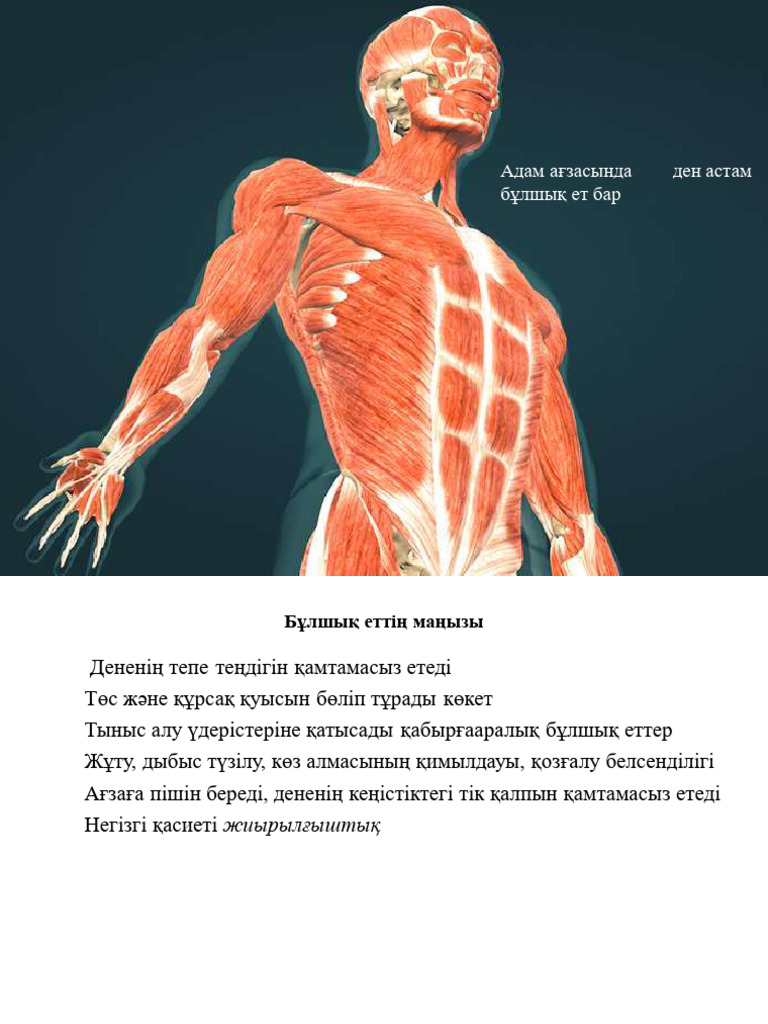 Эротикалық порно фильм онлайн