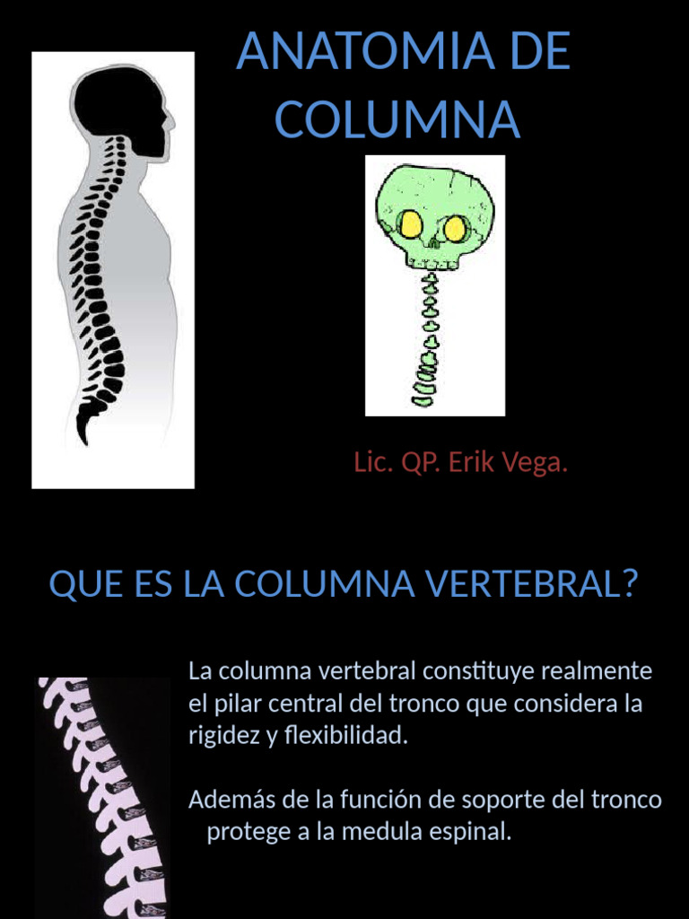 Anatomía y Funciones de la Columna Vertebral | PDF | La columna ...