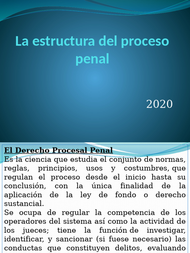 Estructura del Proceso Penal | PDF | Derecho penal | Ley Pública