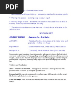 Sensory Diet