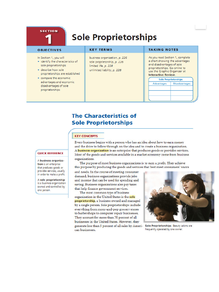 Kami Export Section 1 Sole Proprietorships | PDF
