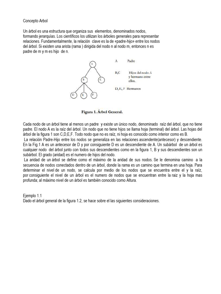 Concepto de Nodo en Árboles | PDF | Algoritmos y Estructuras de Datos