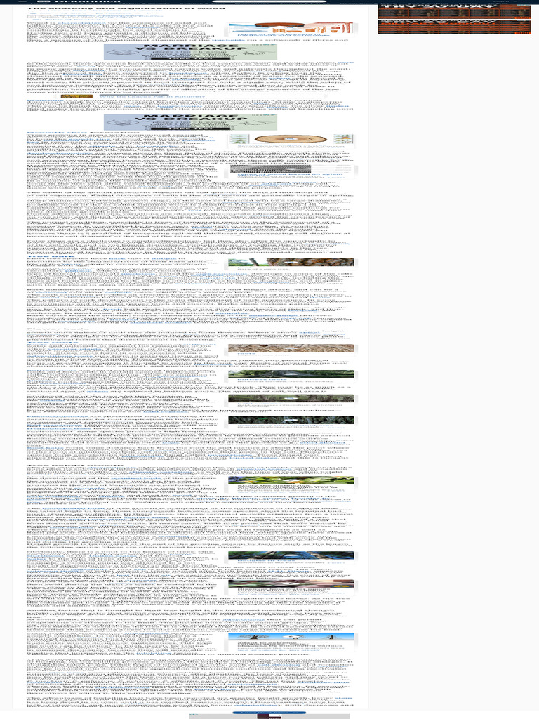 Anatomy and Growth of Wood in Trees | PDF | Wood | Trees