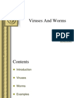Viruses and Worms