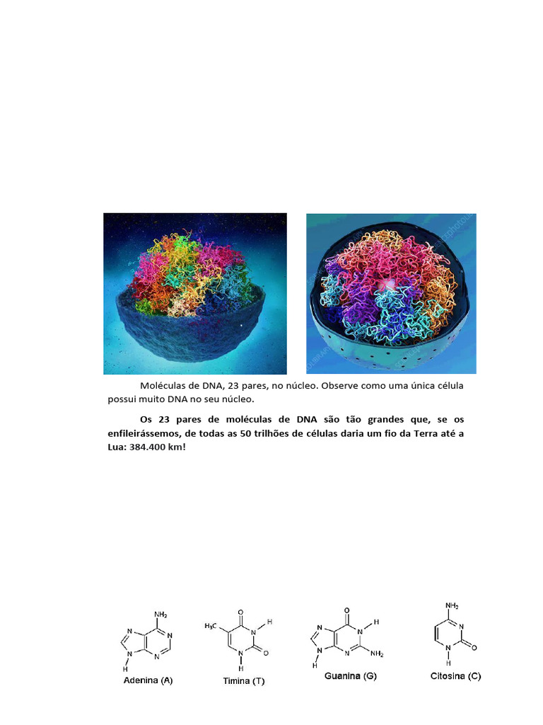 O Núcleo Celular Com DNA. | PDF | DNA | RNA mensageiro