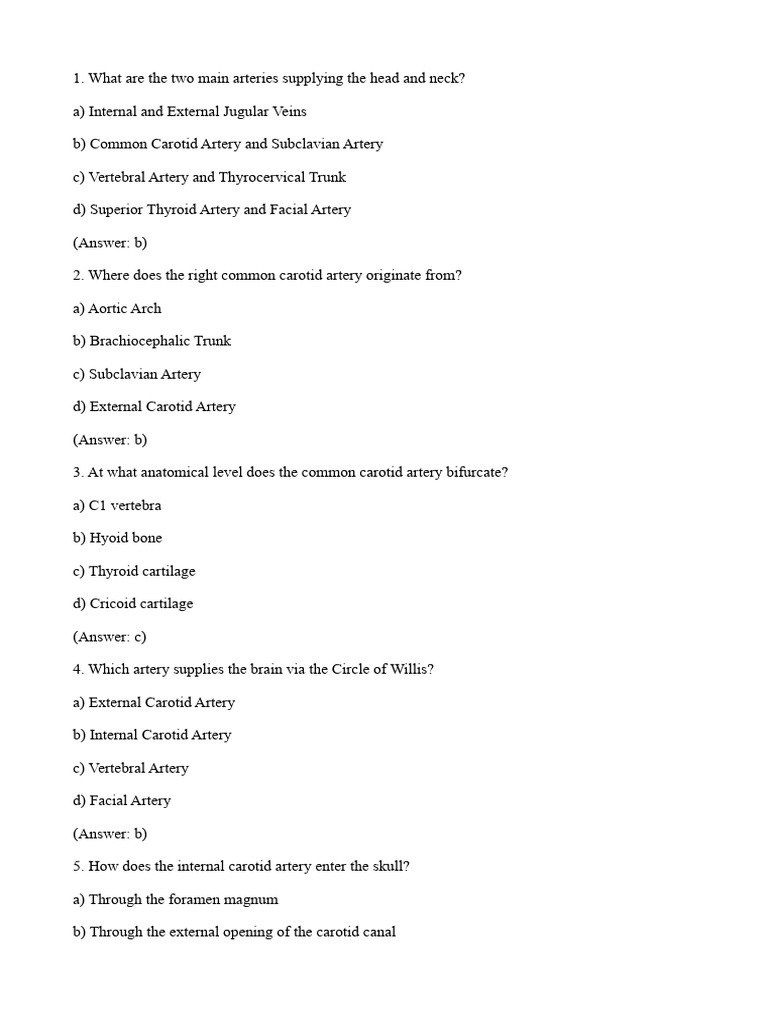 2 5357407407481840100 | PDF | Common Carotid Artery | Human Anatomy