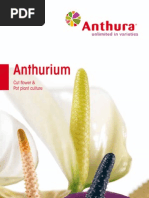 Download Anthurium Catalogue by dammi77 SN86180466 doc pdf