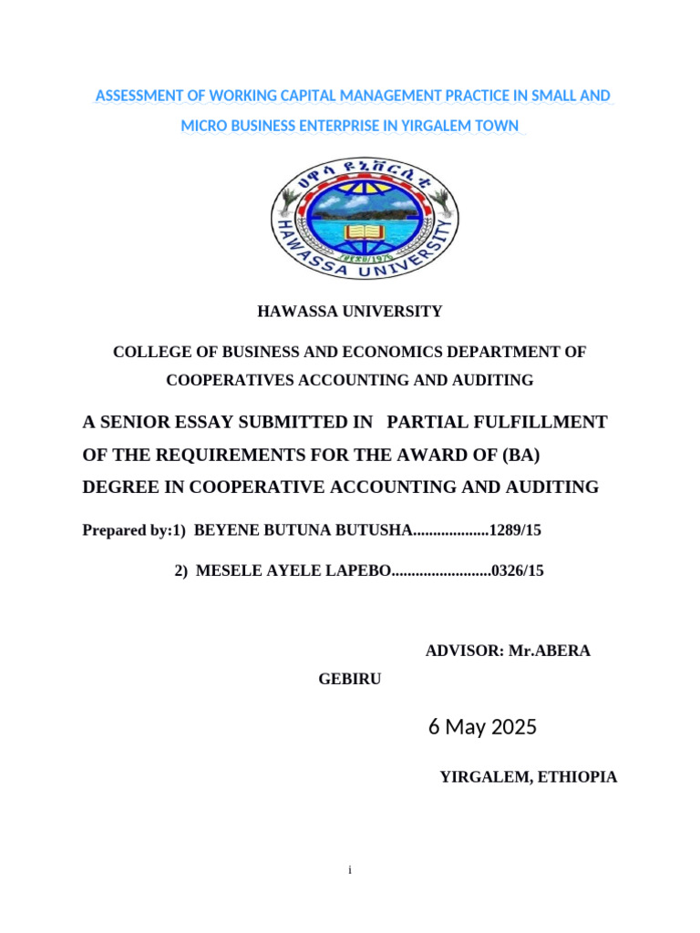 Beyene Butuna Butusha Proposal | PDF | Working Capital | Credit