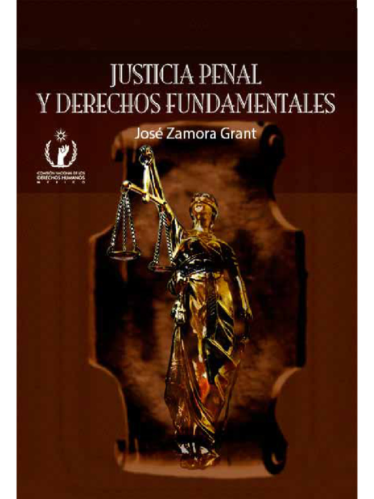 Justicia Penal y Derechos Humanos en México | PDF | Democracia ...