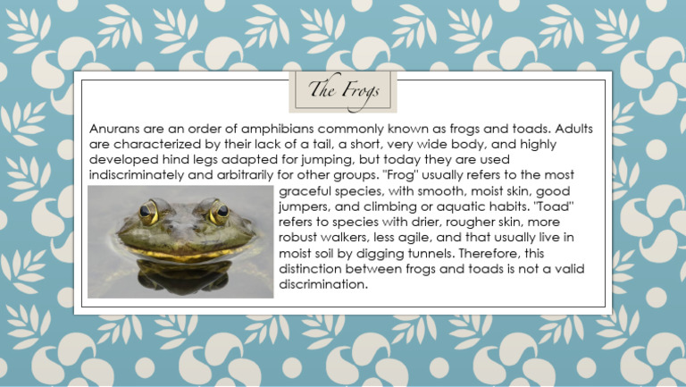 Understanding Frogs and Toads | PDF