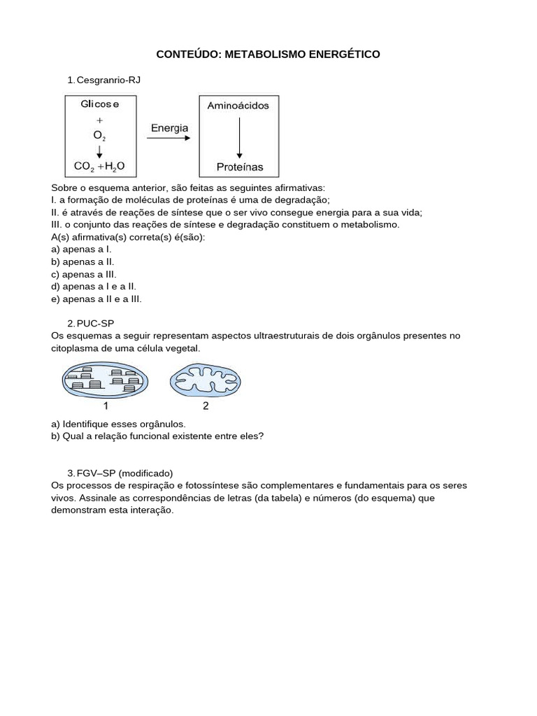 Metabolismo Energético e Fotossíntese | PDF | Trifosfato de adenosina ...