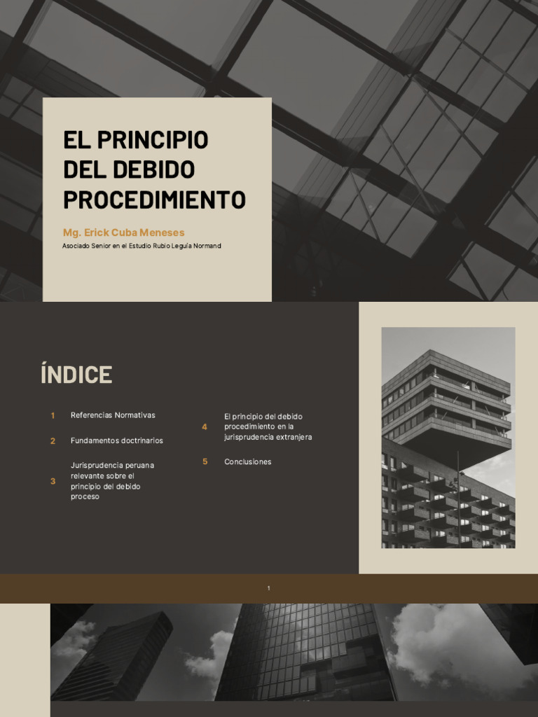 Principio del Debido Procedimiento Administrativo | PDF | Debido al ...