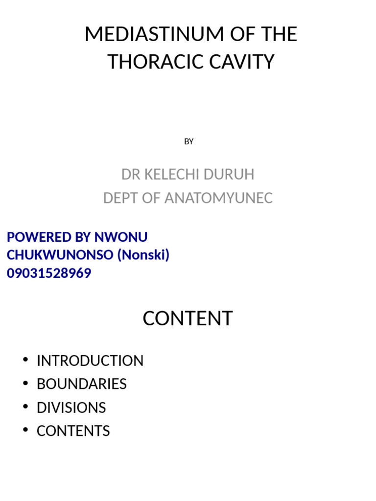 MEDIASTINUM Lecture | PDF | Aorta | Common Carotid Artery