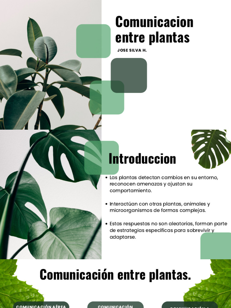comunicaci-n-entre-plantas-y-estrategias-pdf-plantas-biolog-a