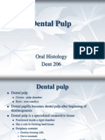 Dental Pulp: Oral Histology Dent 206