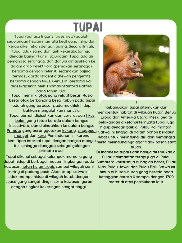 Morfologi dan Habitat Tupai | PDF
