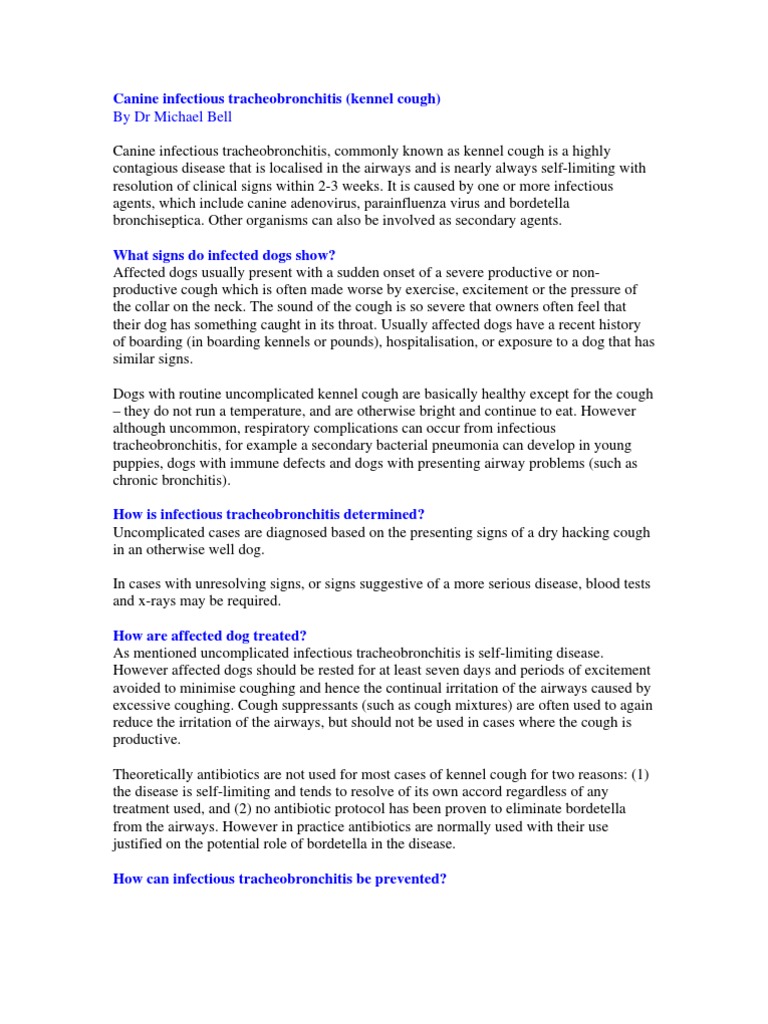 By DR Michael Bell Canine Infectious Tracheobronchitis (Kennel Cough