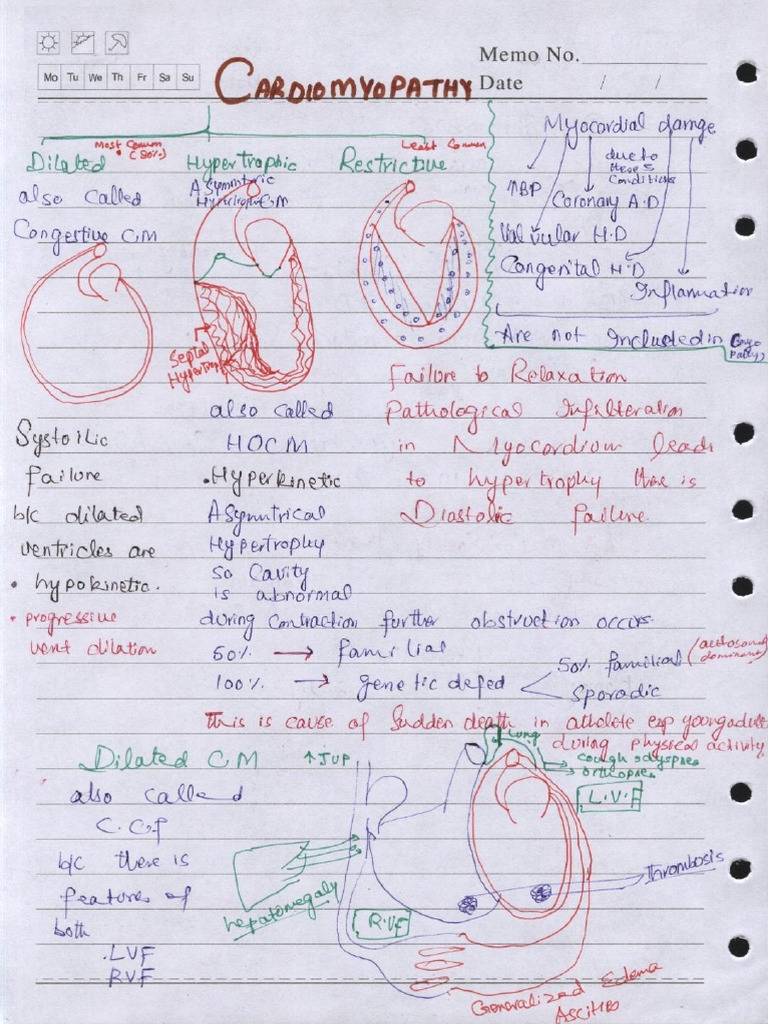 18 Cardiomyopathies 230408 090526 Pdf