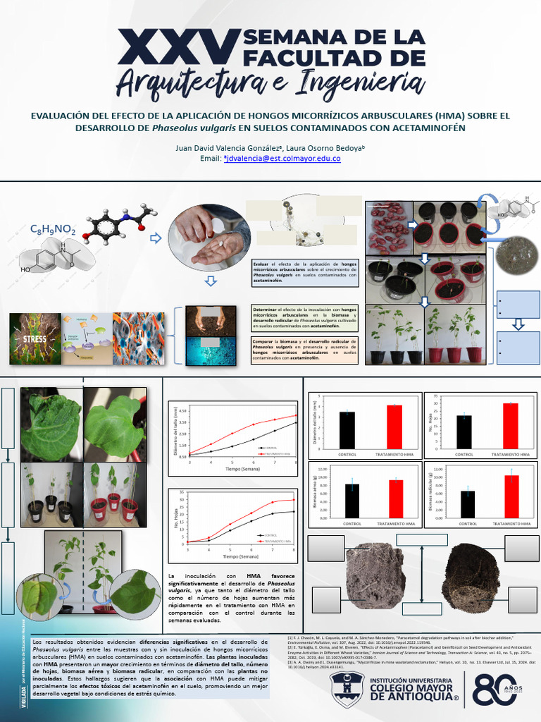 XXV SEFAI Poster | PDF | Botánica