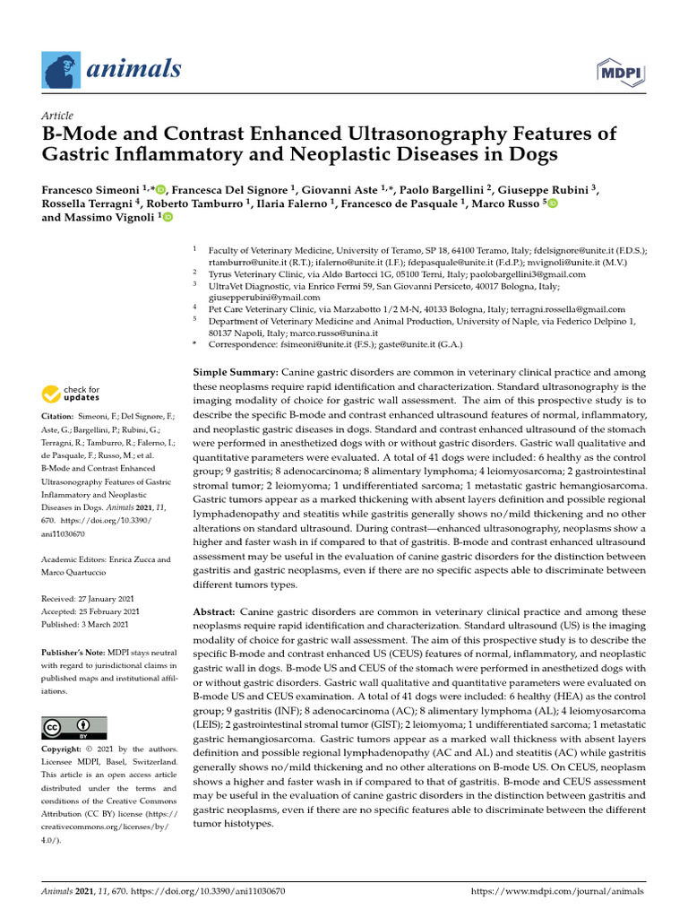 B-Mode and Contrast Enhanced Ultrasonography Features of Gastric ...