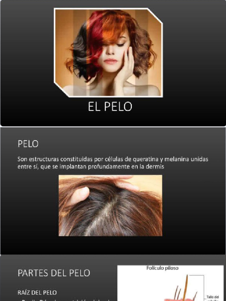 El Cabello y Su Estructura | PDF