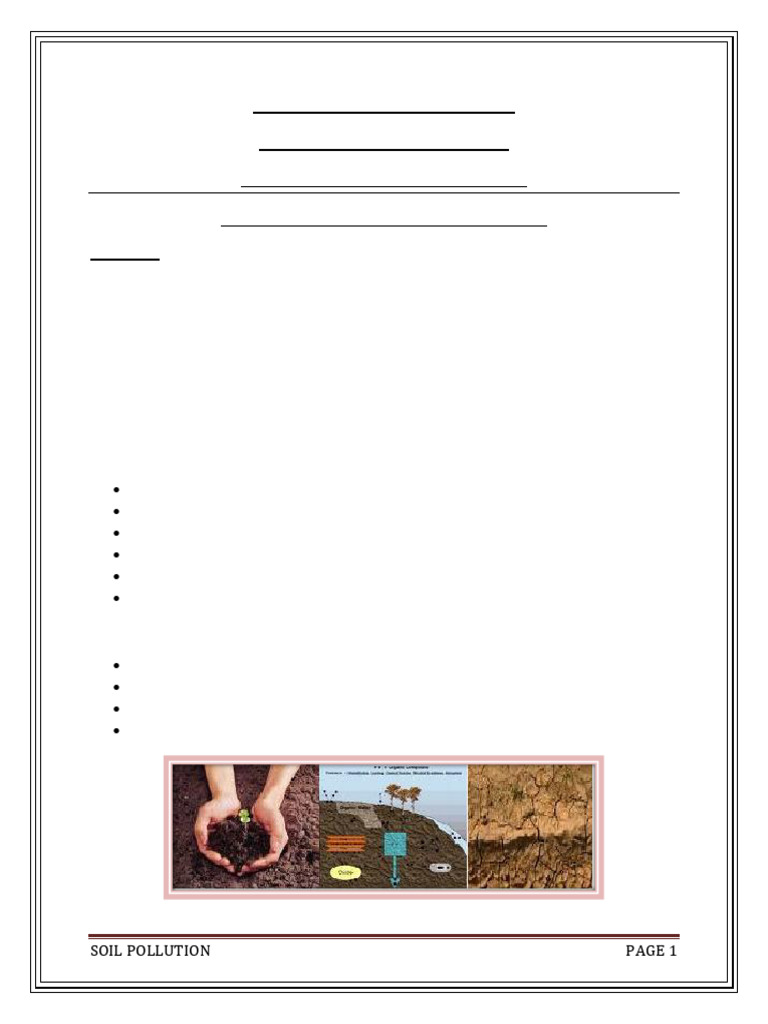 Understanding Soil Pollution Causes | PDF | Soil | Water Pollution