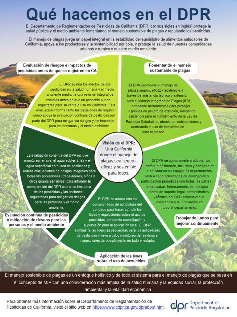 What We Do at DPR SP | PDF | Pesticida | Sustentabilidad