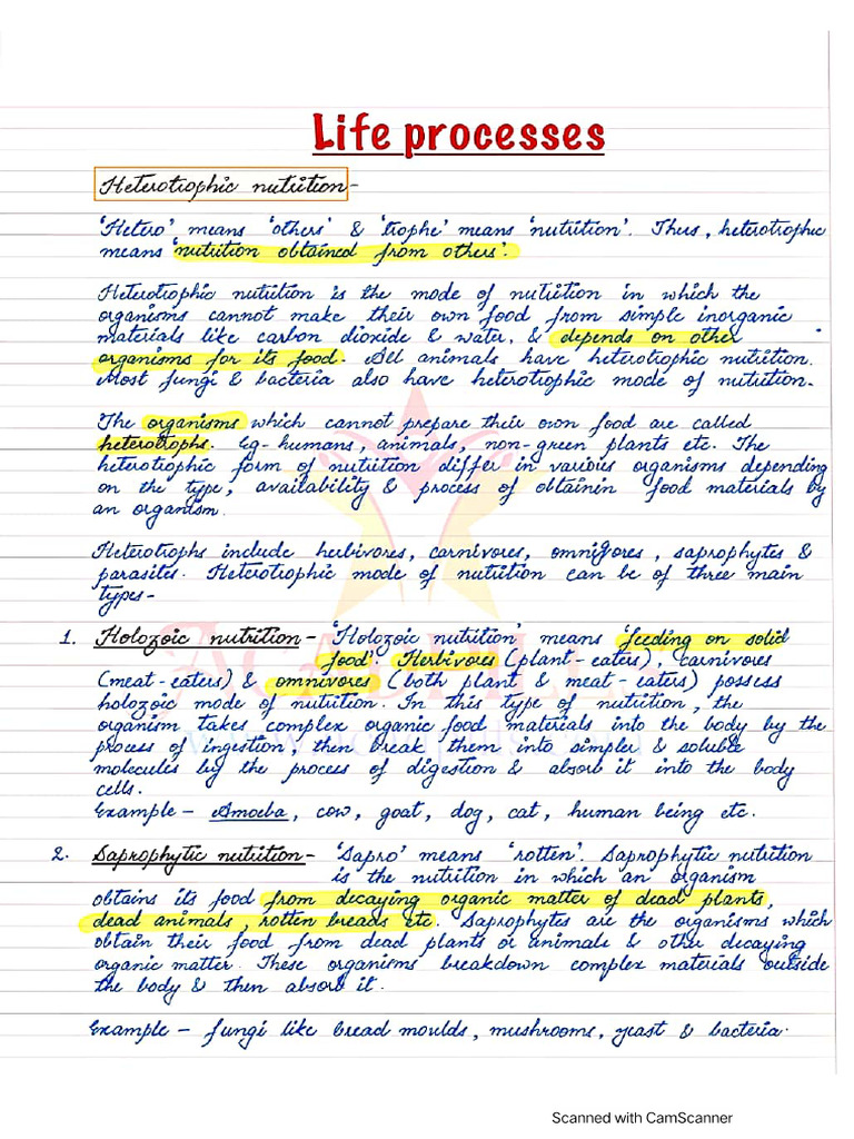 Ch-6 Life Processes Part 2 | PDF