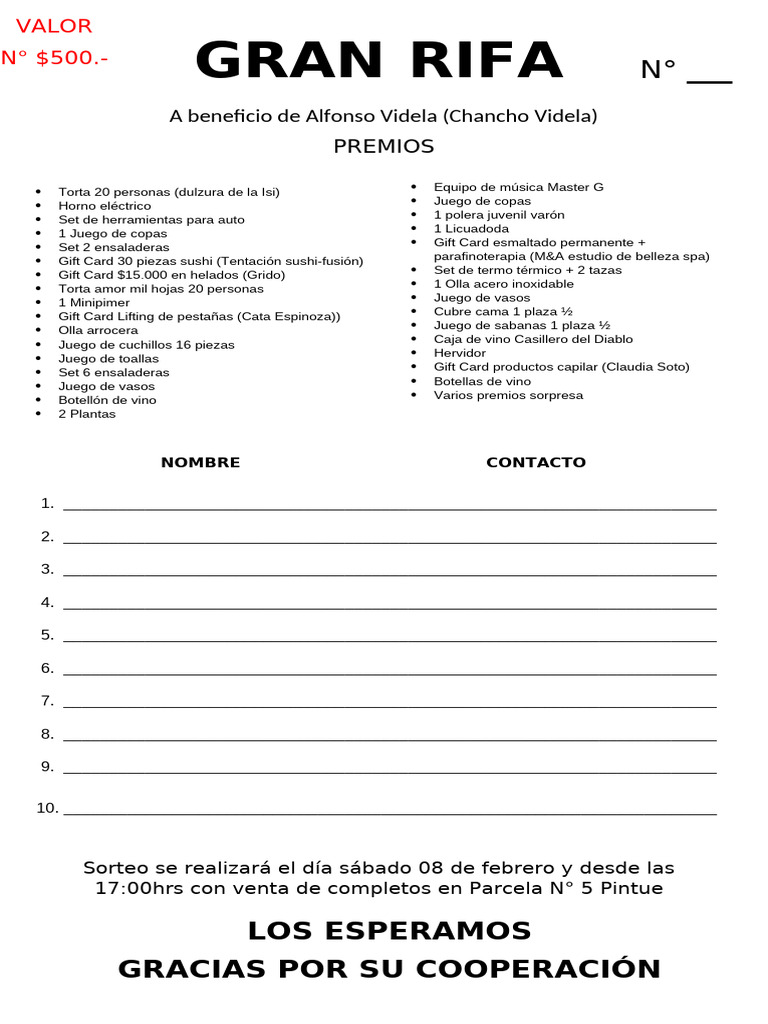 Gran Rifa a Beneficio de Alfonso Videla | PDF