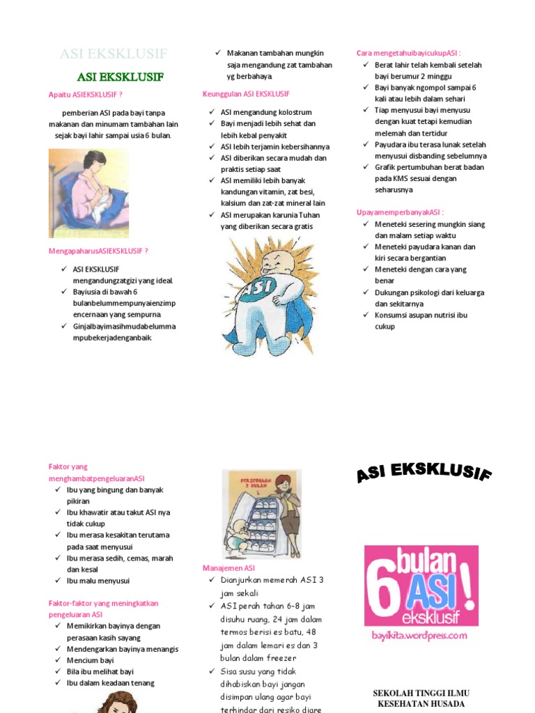 12. Leaflet Asi Eksklusif
