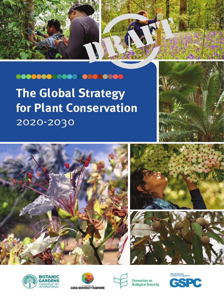 GSPC 2020-2030: Plant Conservation Goals | PDF | Conservation Biology ...
