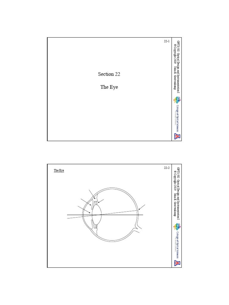 Understanding Eye Optics and Anatomy | PDF | Eye | Cornea