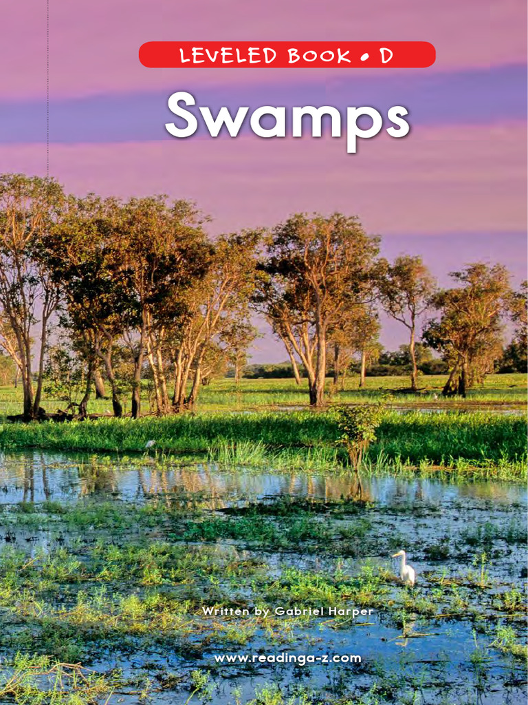 Importance of Swamps Explained | PDF | Getty Images | Physical Geography