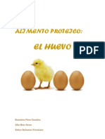 Alimento Proteico El Huevo