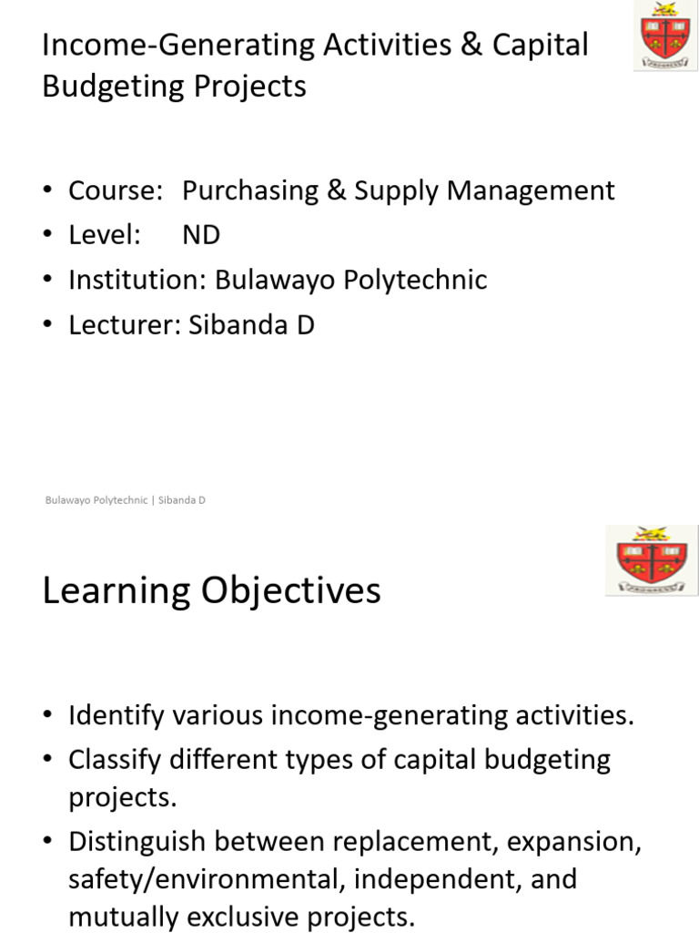 Income-Generating Activities & Capital Projects | PDF | Net Present ...