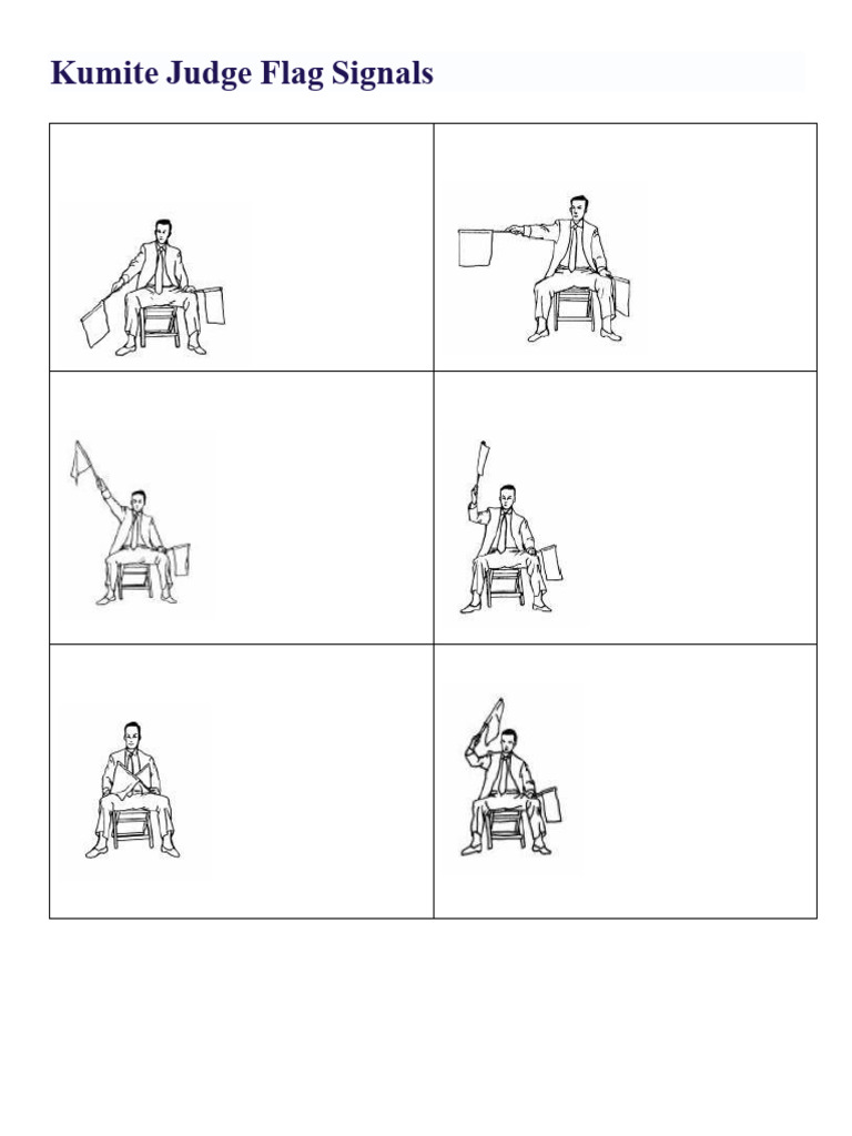 Kumite Judge Flag Signals Explained | PDF