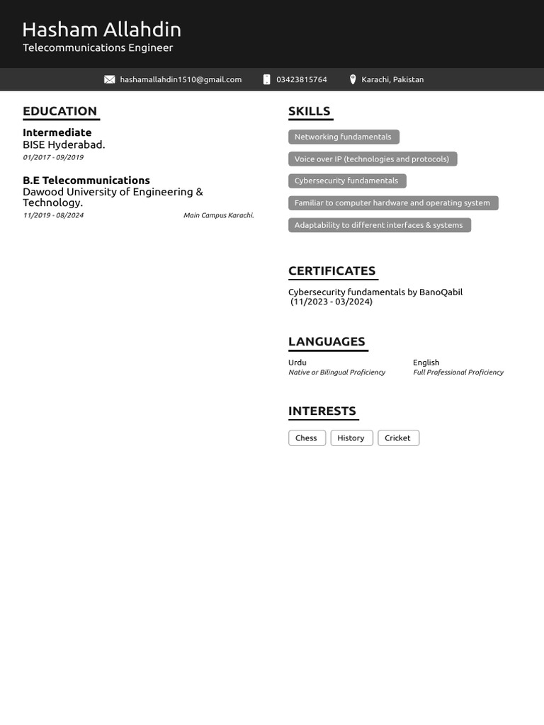 Hasham's CV | PDF