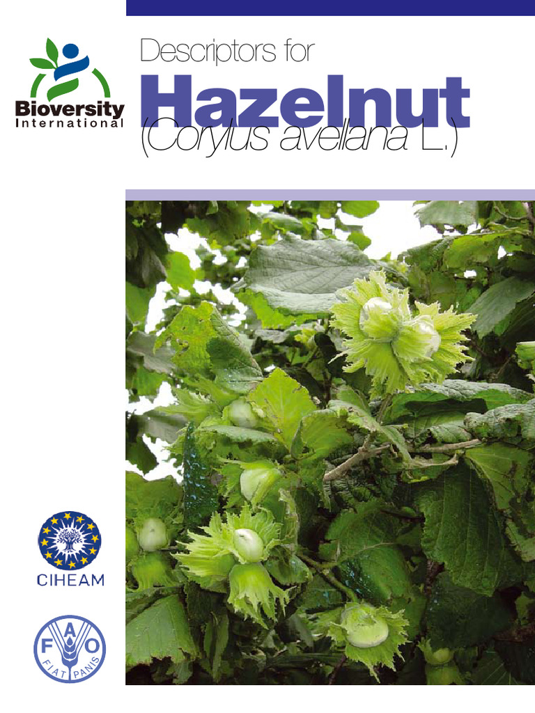 Hazelnut Descriptors Overview | PDF | Plant Breeding | Cultivar