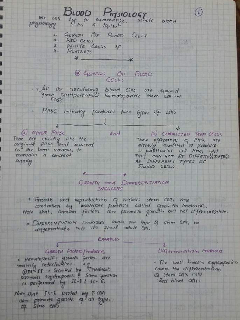 Blood Physio Tanveer | PDF