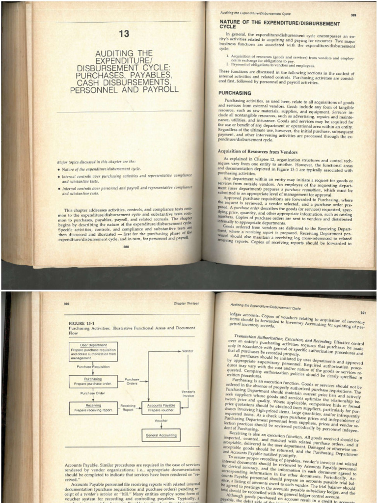 Audit Ch13 David Ritchie | PDF