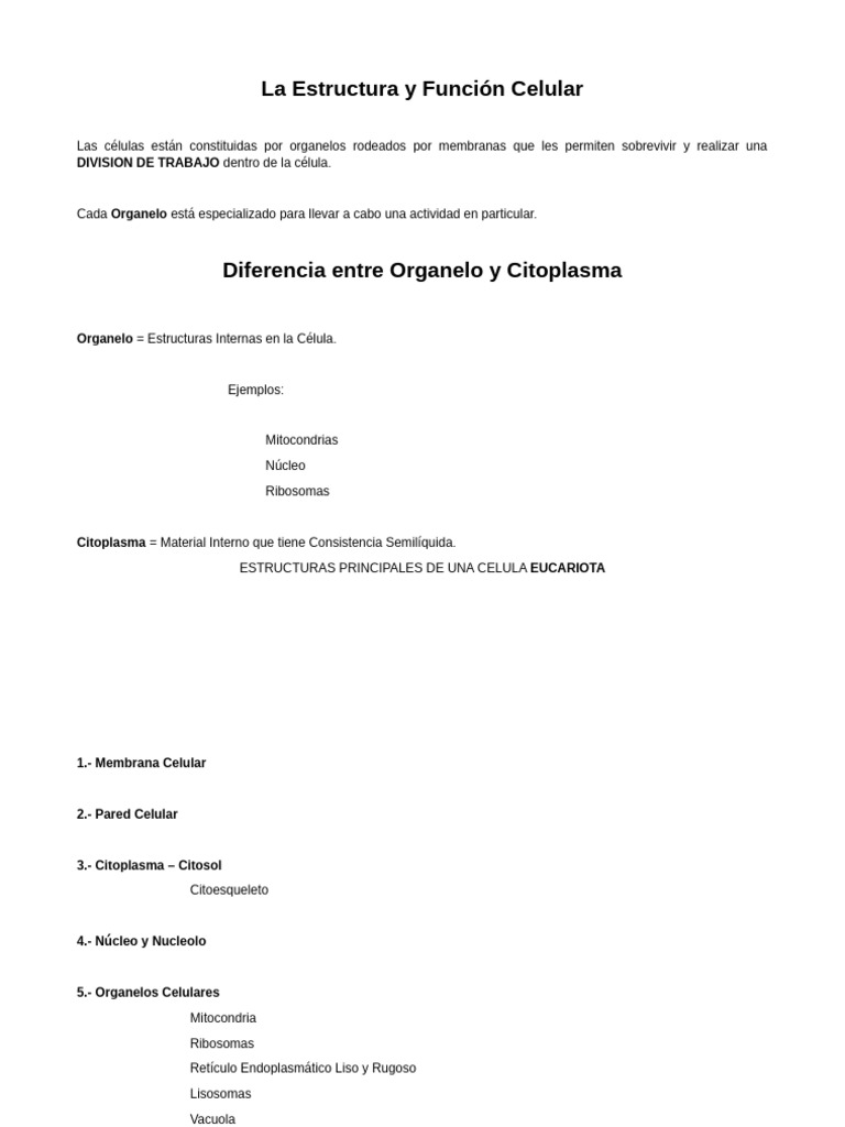 Estructura y Función de la Célula | PDF | Citoplasma | Nucleo celular