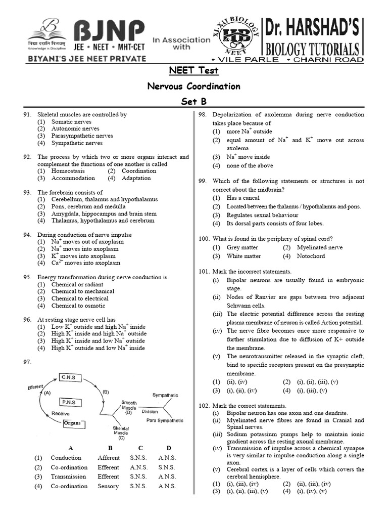 NEET Nervous Coordination Quiz Set B | PDF | Axon | Neuron