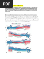 Upper Limb Dermatomes and Myotomes | PDF | Anatomical Terms Of Motion | Arm