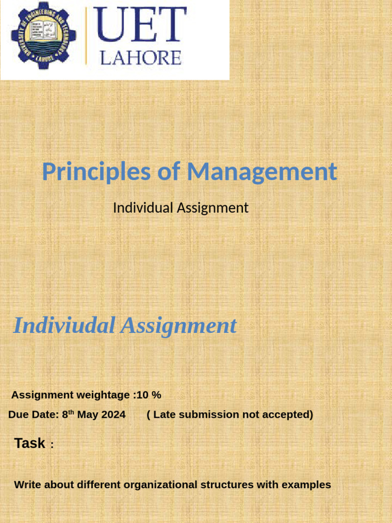 Management Assignment Individual | PDF