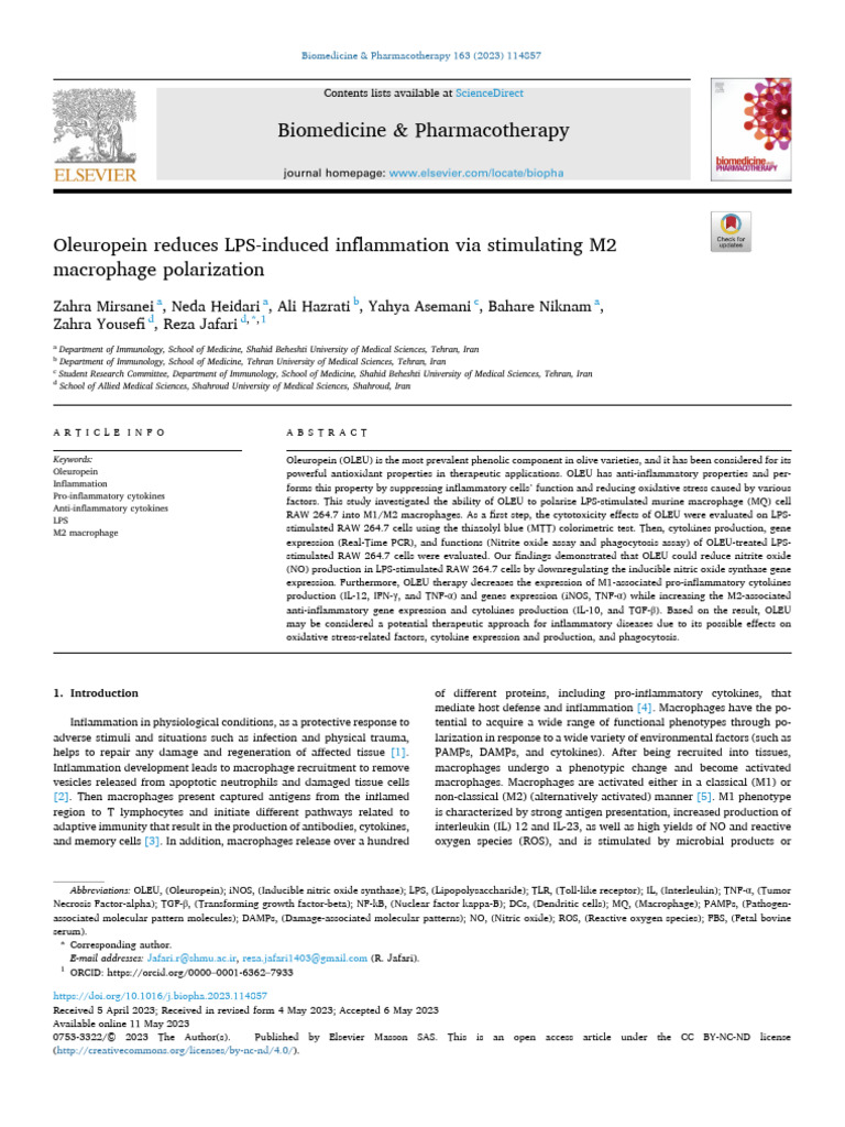 Oleuropein's Role in M2 Macrophage Polarization | PDF | Macrophage ...