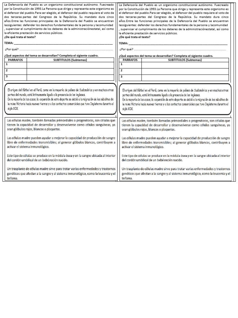 Tema y Subtema Ejemplos | PDF