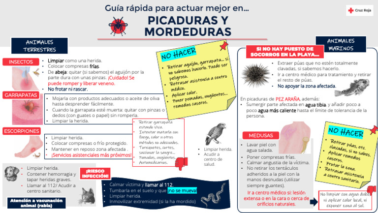 Picaduras y Mordeduras | PDF | Herida