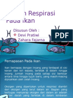 Sistem Respirasi Ikan