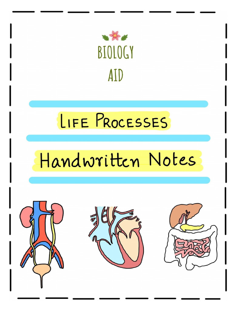 Biology Aid Life Processes Notes - 250425 - 192733 | PDF | Liver ...