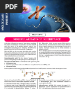 Class 12 Biology Notes Chapter 5 Molecular Basis of Inheritance | PDF ...